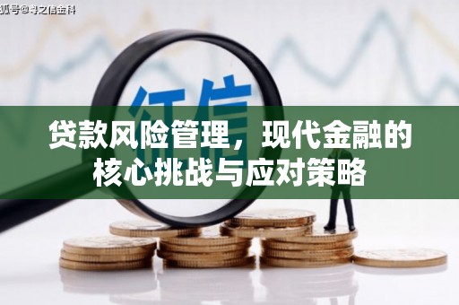 汝阳贷款风险管理，现代金融的核心挑战与应对策略