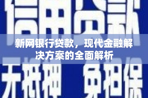 文山新网银行贷款，现代金融解决方案的全面解析