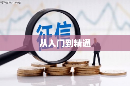 麻豆从入门到精通
