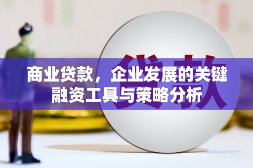 大观商业贷款，企业发展的关键融资工具与策略分析