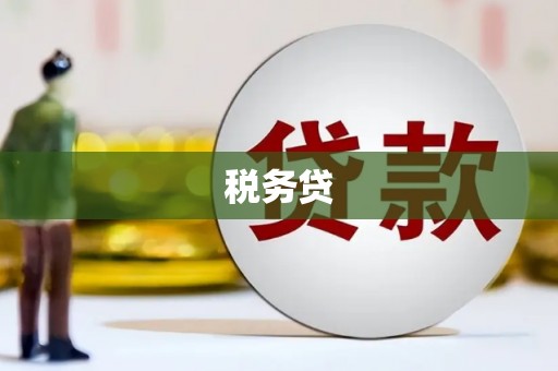 安居税务贷