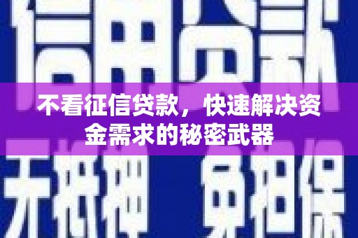 苗栗不看征信贷款，快速解决资金需求的秘密武器