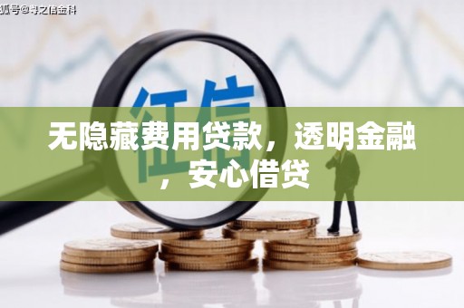 嘉定无隐藏费用贷款，透明金融，安心借贷