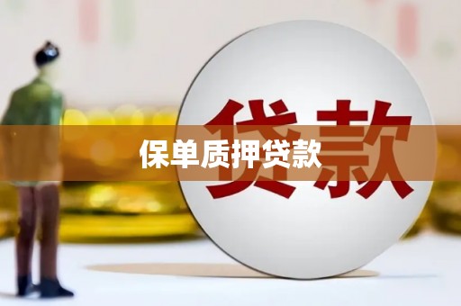 清溪保单质押贷款