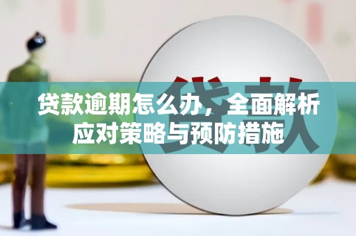 临沧贷款逾期怎么办，全面解析应对策略与预防措施