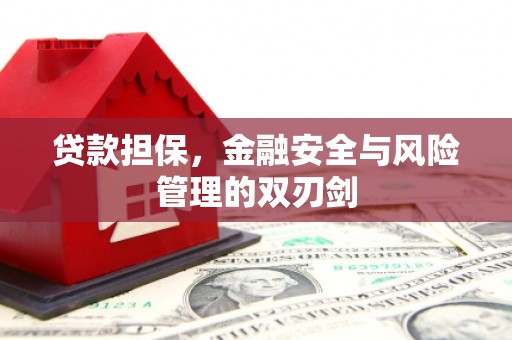 佳县贷款担保，金融安全与风险管理的双刃剑