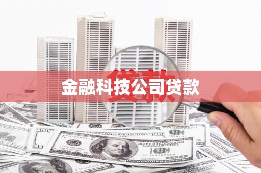 双河金融科技公司贷款