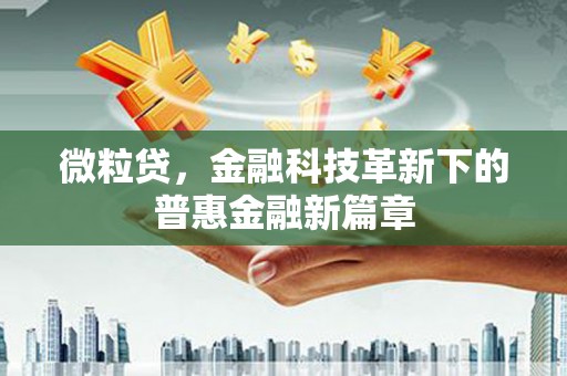 清水河微粒贷，金融科技革新下的普惠金融新篇章