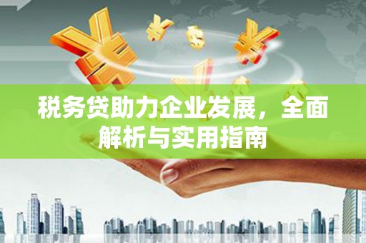 临高税务贷助力企业发展，全面解析与实用指南