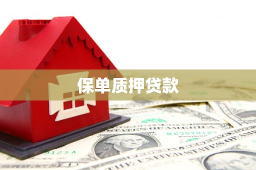 镇海保单质押贷款