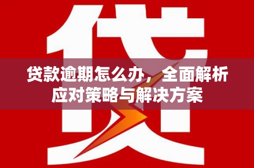 保德贷款逾期怎么办，全面解析应对策略与解决方案