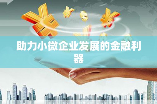 单县助力小微企业发展的金融利器