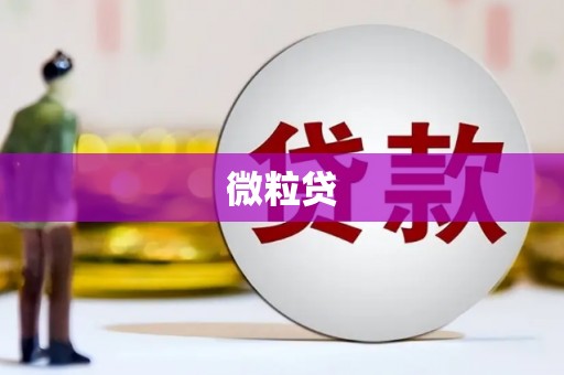 丹巴微粒贷