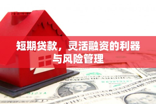 思南短期贷款，灵活融资的利器与风险管理